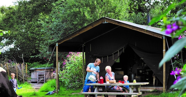 Vakantietent B Hooge Mierde Noord-Brabant
