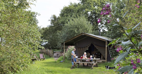 Vakantietent A Dwingeloo Drenthe