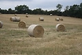 La Ferme de Penquelen - Parkfoto - 10