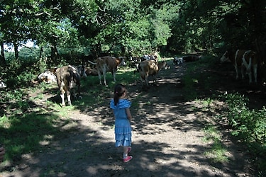 La Ferme de Penquelen - Parkfoto - 1