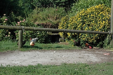 La Ferme de Penquelen - Parkfoto - 2