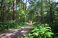 Buitenplaats De Marke van Ruinen - Umgebungsfoto - 9