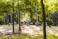 Landgoed Het Grote Zand - Umgebungsfoto - 27