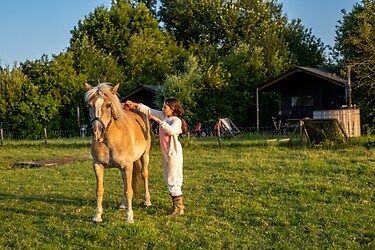 Hoeve Waterschap - Parkfoto - 2