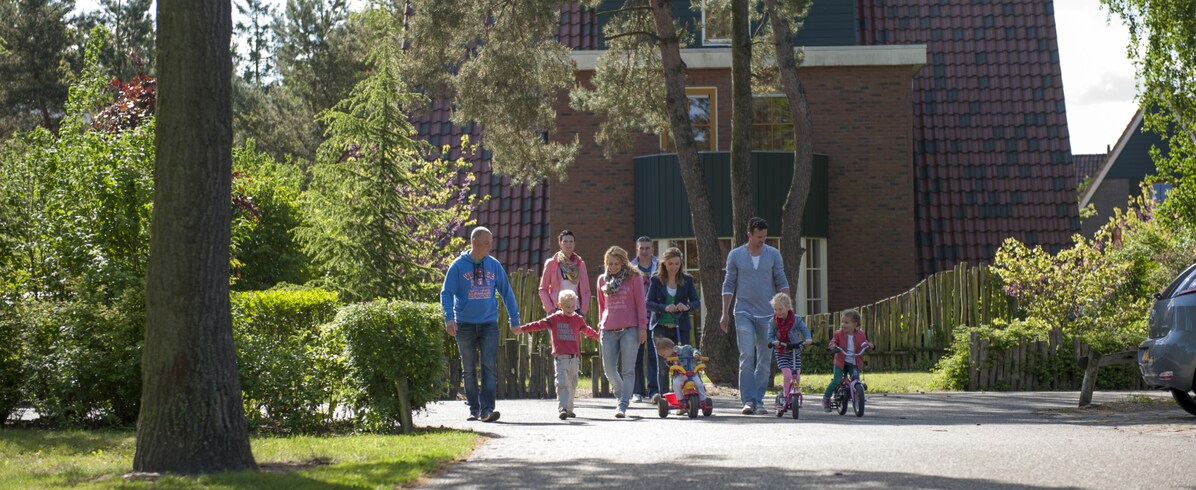 De Katjeskelder De Katjeskelder