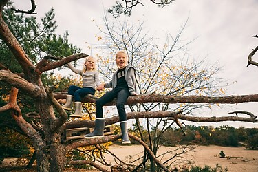 Vakantiepark Schaijk