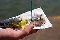Marinapark Volendam - Umgebungsfoto - 30