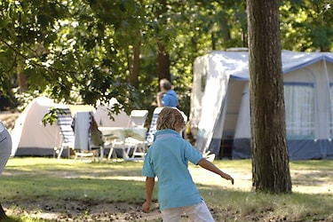 Bospark 't Wolfsven - Campingplatz - Foto1