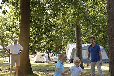 Bospark 't Wolfsven - Campingplatz - Foto1