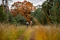 De Heihorsten - Parkfoto - 17