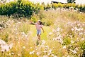 Park Zeedijk - Umgebungsfoto - 22