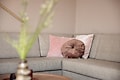 Duinresort Dunimar - Bungalow - Foto4