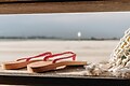 Roompot Beach Villa's Hoek van Holland - Parkfoto - 12