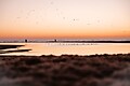 Roompot Beach Villa's Hoek van Holland - Umgebungsfoto - 29