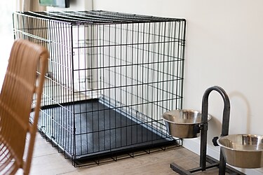 Hundebungalow 6C