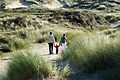 Tulp & Zee - Parkfoto - 9