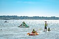 Au Lac de Biscarosse - Area photo - 18