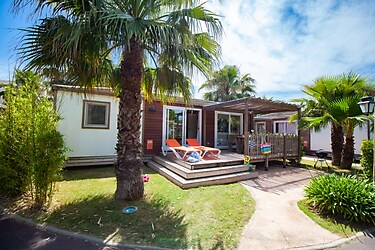 Cottage Hula 6