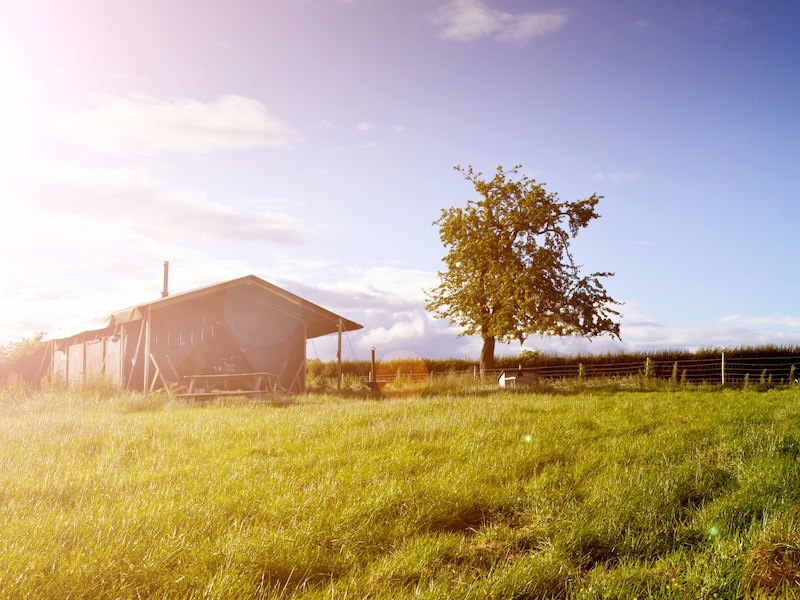 Hoeve Hilserhof - Holidaytent C