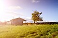 Hoeve Hilserhof - Holiday tent - Photo1