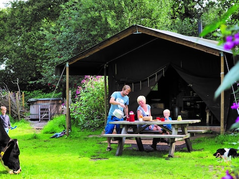 Hoeve Hilserhof - Holiday tent - Photo4