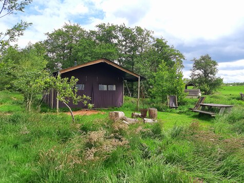 Hoeve Hilserhof - Holiday tent - Photo3