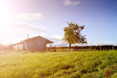 Hoeve Hilserhof - Tente de vacances - Photo1