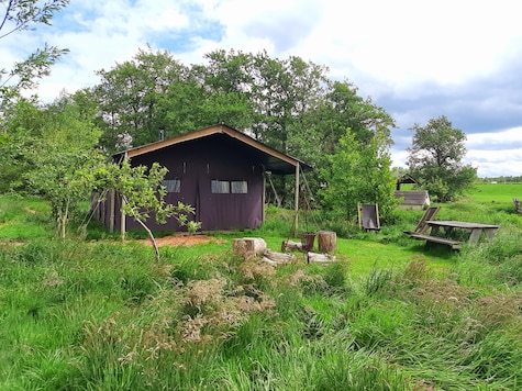 Hoeve Hilserhof - Tente de vacances - Photo3