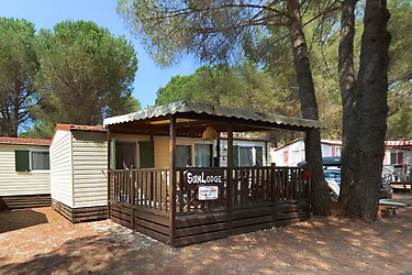 RedWood