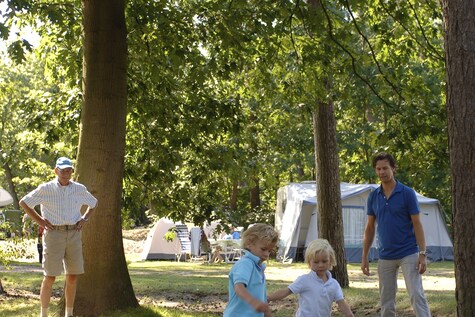 Veld Zwaan