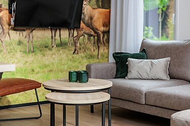 Vakantiepark Schaijk - Lodge - Photo4