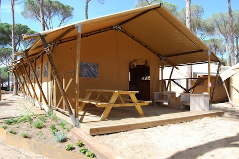Safaritent 6