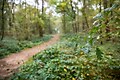 Landgoed Het Grote Zand - Photo du parc - 6