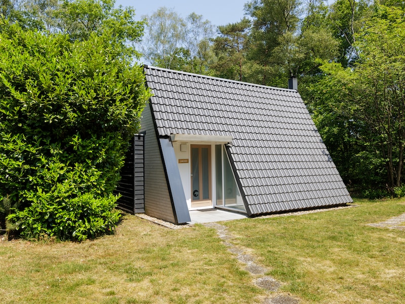 Bungalowpark Hoenderloo - Veluwe Villa 4B