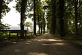 Landgoed Volenbeek - Photo du parc - 10