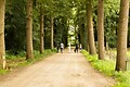 Landgoed Volenbeek - Photo du parc - 11