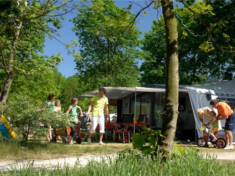 Vakantiepark Kijkduin - Emplacement de camping - Photo2