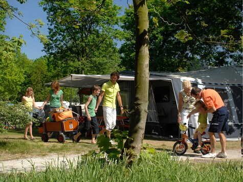 Vakantiepark Kijkduin - Emplacement de camping - Photo4