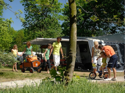 Vakantiepark Kijkduin - Emplacement de camping - Photo2