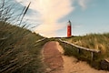 Kustpark Texel - Photo des environs - 21