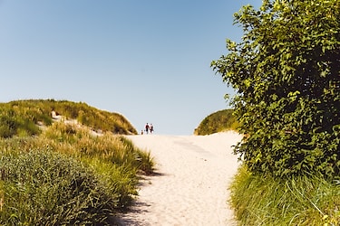 Roompot Ameland - Photo du parc - 3