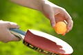 Camping Dishoek - Photo du parc - 21