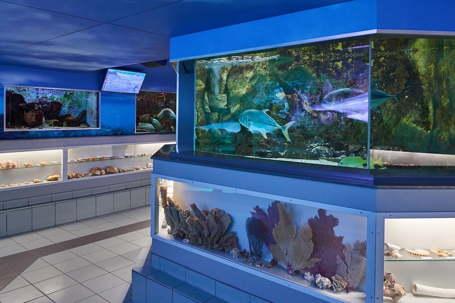 De Graaf van Egmont, Holiday park in Egmond Aan Zee Photos