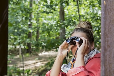 Observatoire centre Ardenne
