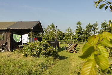 Rochefort en Ardenne - Vakantietent - Foto4