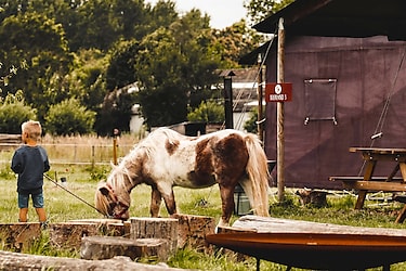 Hoeve Brugge - Parkafbeelding - 3