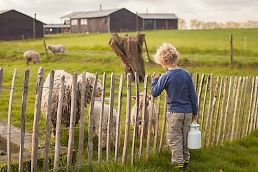 Hoeve den Overdraght - Parkafbeelding - 3