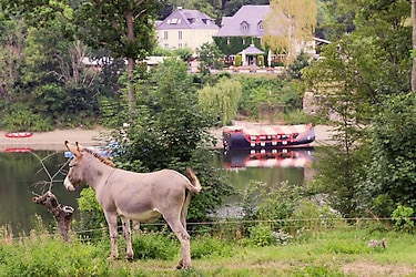 Hohenwarterseehof - Parkafbeelding - 4