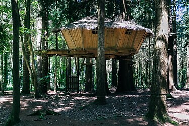 Domaine des Ormes