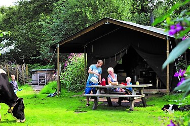 La Ferme de Fontenille - Vakantietent - Foto1